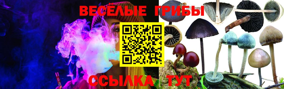 Псилоцибиновые грибы прущие грибы  Вход с VPN  Галлюциногенные грибы GOLDEN TEACHER  Нурлат 
