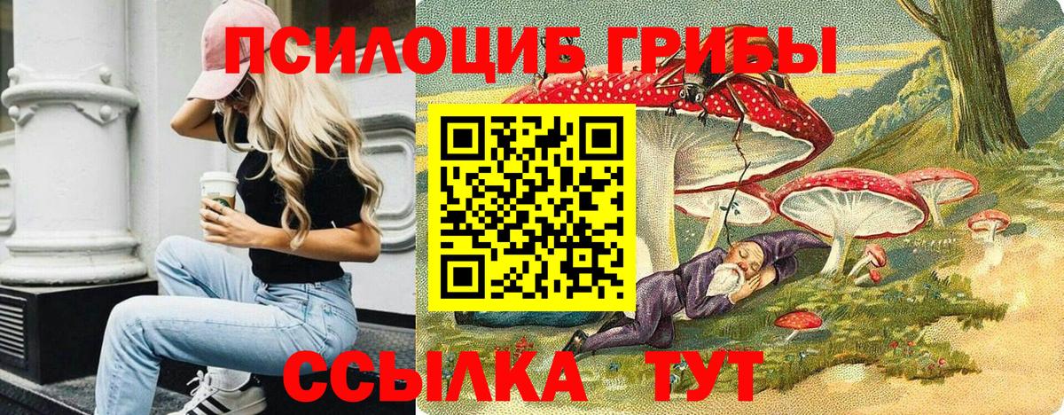 Галлюциногенные грибы GOLDEN TEACHER Нурлат